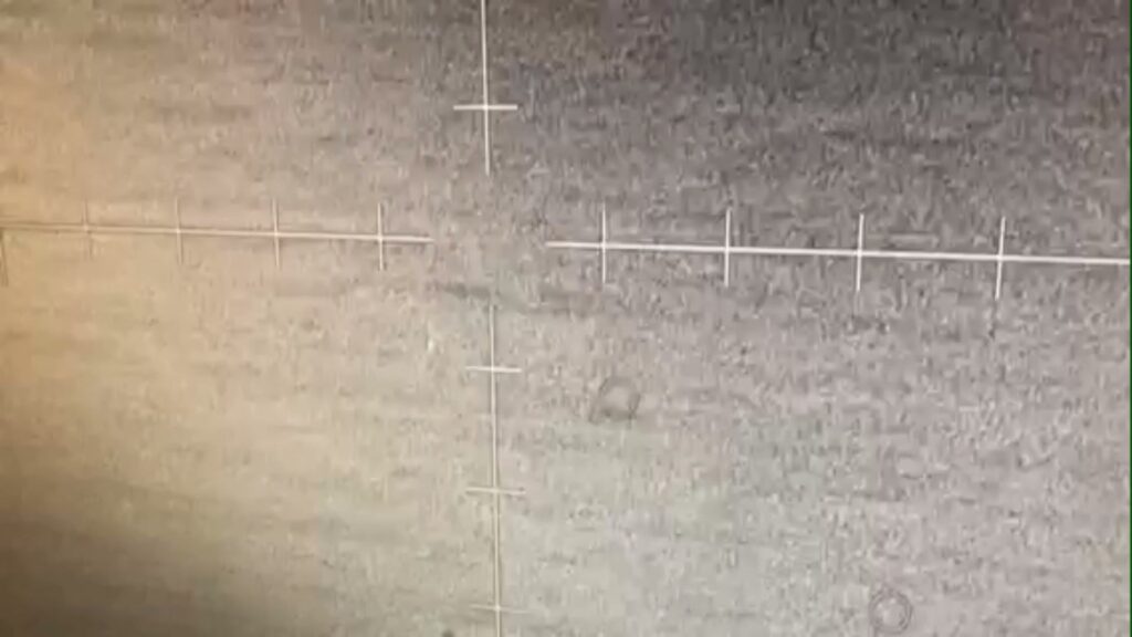 PR117公式映像の冒頭に見えるコントラスト領域